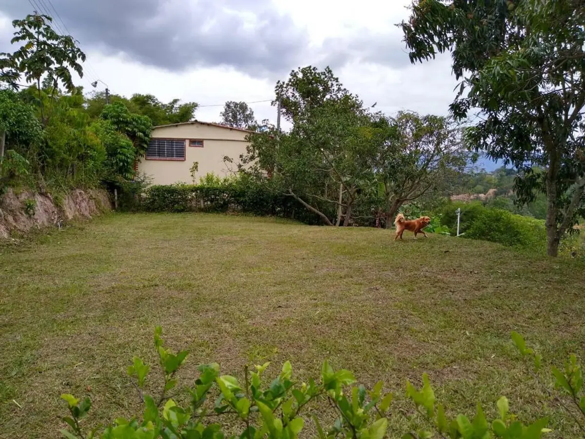 Lote - Zarate Olarte Inmobiliaria