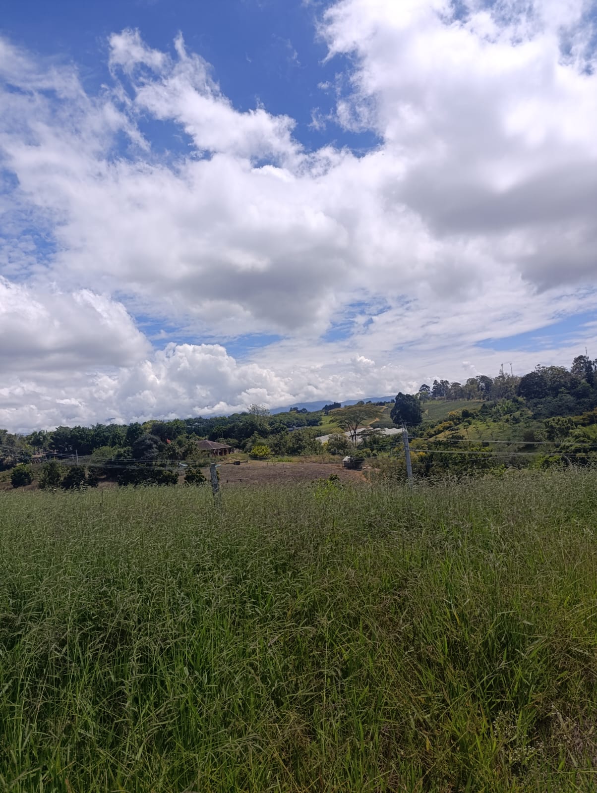 Lote - Zarate Olarte Inmobiliaria